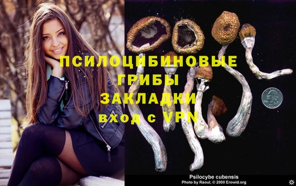 МДПВ Куйбышев