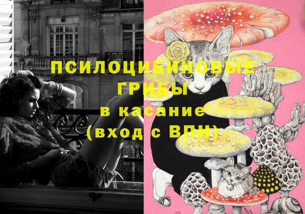 не бодяженный Краснослободск