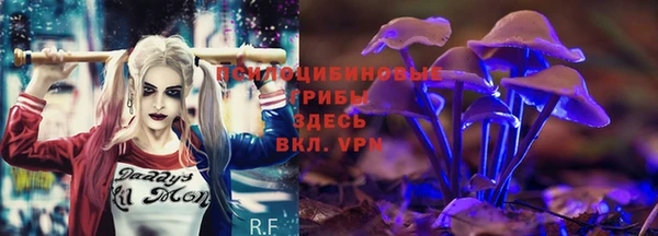 PSILOCYBIN Краснотурьинск