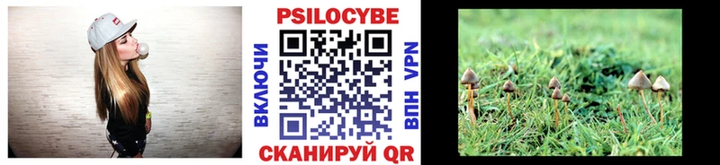 Купить где  Бутурлиновка  Псилоцибиновые грибы мицелий 