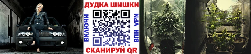 Купить закладки  Бутурлиновка  Бошки Шишки гибрид 